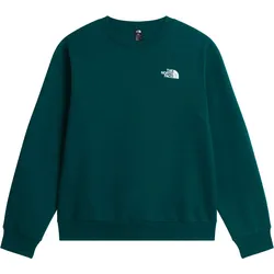 THE NORTH FACE EVOLUTION BOX NSE Sweater 2027 pacific teal - XL