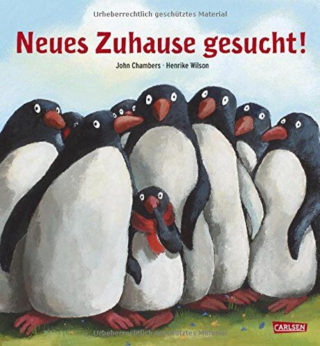 John Chambers - Neues Zuhause gesucht! - Preis vom 09.10.2026 07:28:09 h