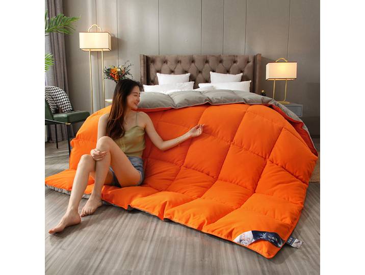 Couette en duvet d'oie blanche, quatre saisons, double document, maison, optique, hôtel cinq étoiles, hiver, nouveau