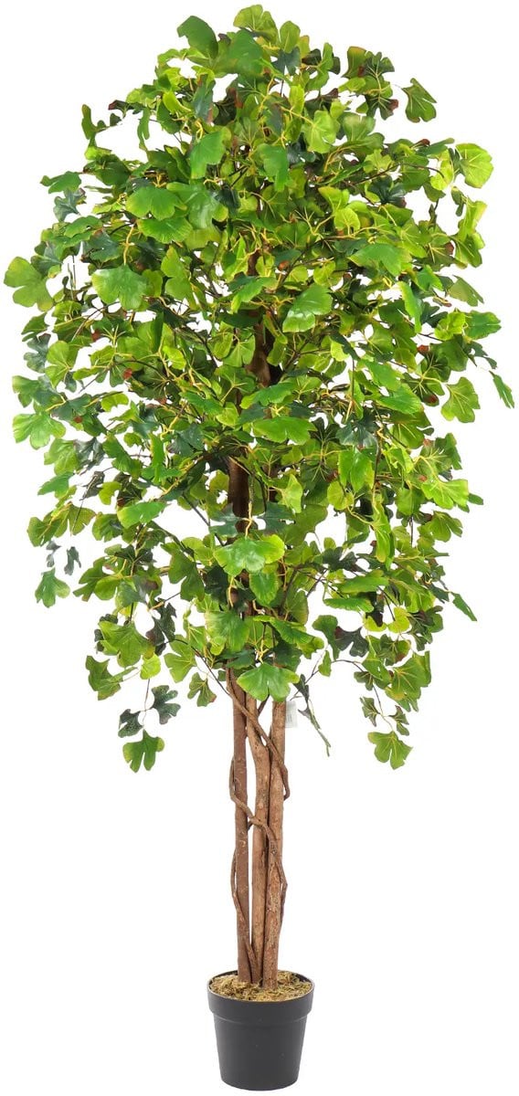 Kunstboom Ginkgo - 180 cm - Groen
