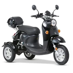 ENEWAY 3-Rad E-Mobil Modena II 25 km/h E-Trike ETrike Elektrofahrzeug Mobilitätsfahrzeug schwarz