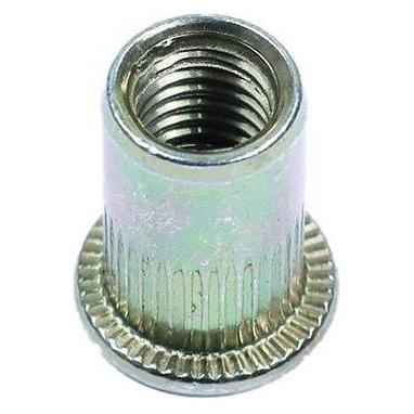 Haushalt OPEN FLAT HEAD BLND RVT NUT M8 1.25X19.5 (33031666)