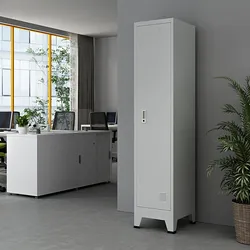 Schließfachschrank Joroinen mit 1 Tür Stahl pulverbeschichtet 180x38x45 cm Grau [en.casa]