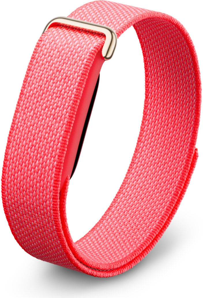 Google Fitbit Air Berry