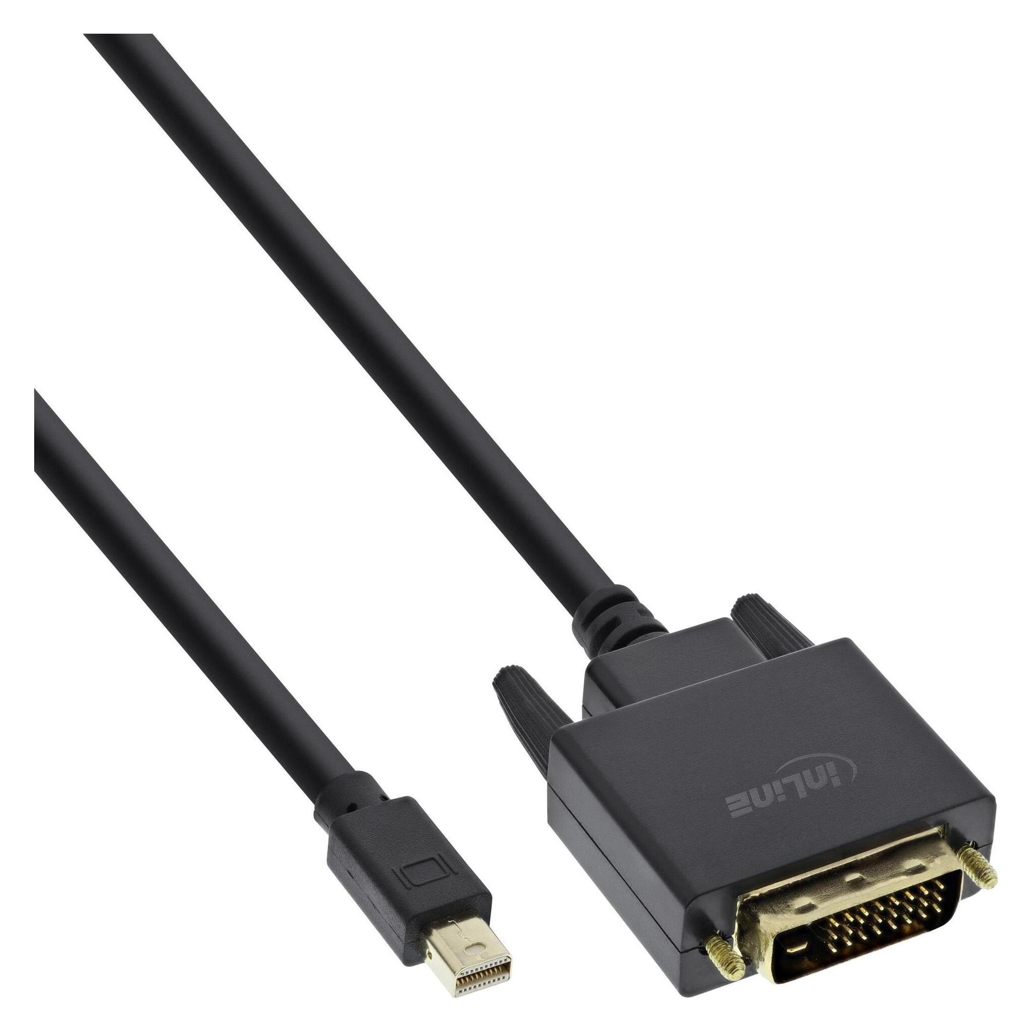 InLine DisplayPort - DVI (0.50 m) (17226)