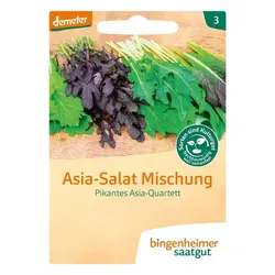 Asiasalat-Mischung - Pikantes Asia-Quartett