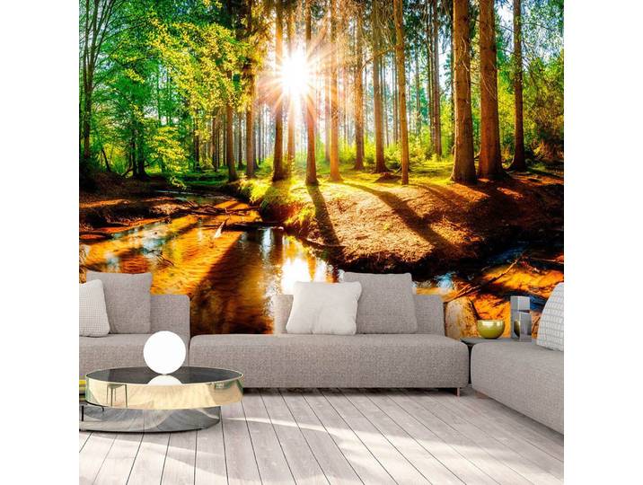 Fototapete Marvelous Forest 400 x 280cm 400 x 280 cm