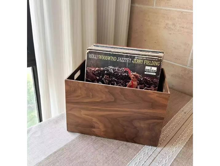 Boîte de rangement pour disques vinyles, présentoir pour disques, armoire pour vinyles LP, boîte de rangement pour CD, en bois