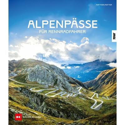 Alpenpässe für Rennradfahrer, Gebundene Ausgabe von Matthias Rotter, Delius Klasing, 978-3-667-13165-2