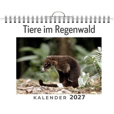 Tiere im Regenwald