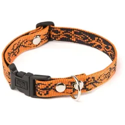 Alter Ego Italy Tatoo (Hund, Spazieren), Halsband + Leine