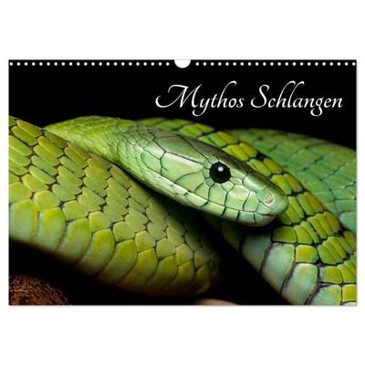 Mythos Schlangen (Wandkalender 2027 DIN A3 quer), CALVENDO Monatskalender