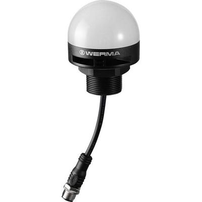 Werma MC55 RGY M12-Stecker 24VDC 24022055