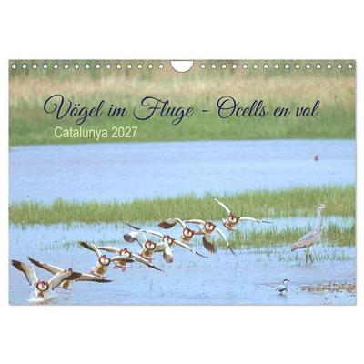 Vögel im Fluge - Ocells en vol (Wandkalender 2027 DIN A4 quer), CALVENDO Monatskalender