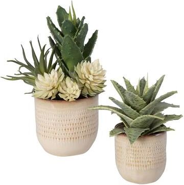 "Uttermost Seaside Succulents (Set of 2) - 9""W x 12""H x 7""D"