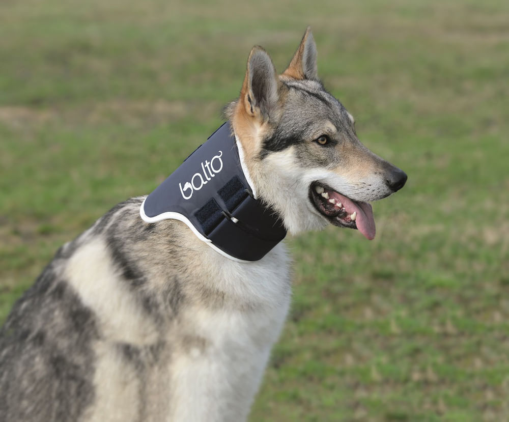 Balto Tutore Neck Black Eco Antileccamento XXS