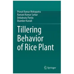 Tillering Behavior of Rice Plant, Fachbücher von Debabrata Panda, Ramani Kumar Sarkar, Pravat Kumar Mohapatra, Ekamber Kariali