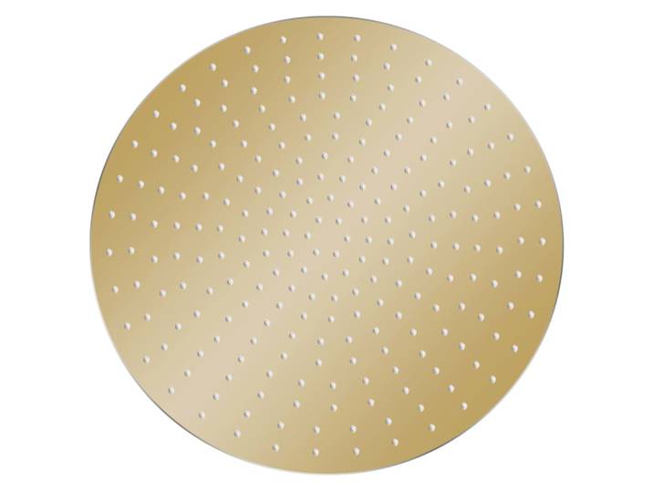vidaXL Douche de pluie en acier inoxydable 50 cm ronde Golden
