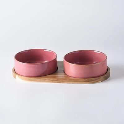 Inspire Essentials ComfortLift Elevated Ceramic Cat Bowl For Healthy Feeding 7 6.10in 28.75oz