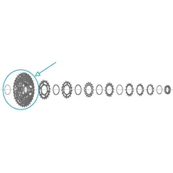 Shimano, Kettenblatt, (21)