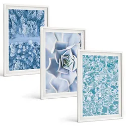 BILDER SET 3er Set - 40x60 cm Weißer Rahmen - Winterwald blaue Blume Wasser