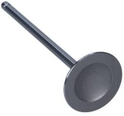 AMP PDAE001-S-0-0 Inlet valve