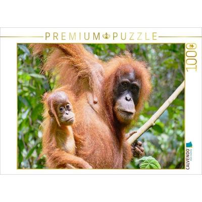CALVENDO Puzzle Orang Utan Mama mit Baby | 1000 Teile Lege-Größe 64x48cm Foto-Puzzle für glückliche Stunden