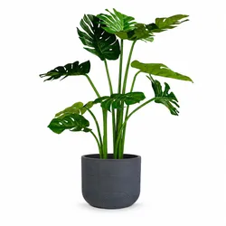 Kunstpflanze mit Topf Monstera mit Topf Solco 90 cm Anthrazit