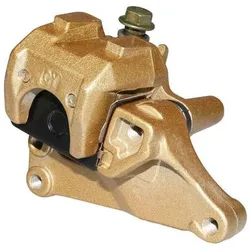 P2R, Scheibenbremse, (Bremssattel)
