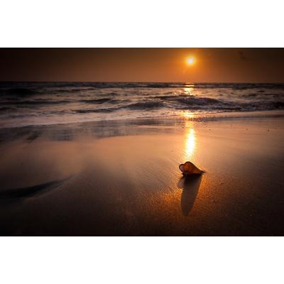 Fototapete PAPERMOON "Tropischer Strand Sonnenuntergang", bunt, B:5m L:2,8m, Vlies, Tapeten
