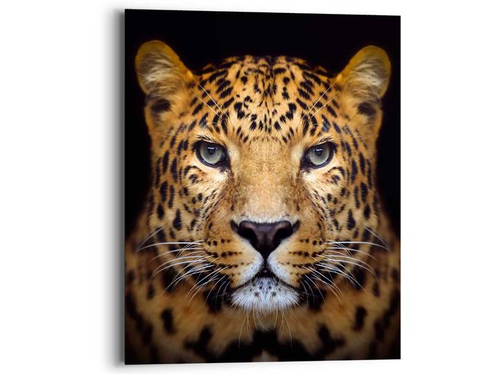 Wandbild REINDERS Wandbild Leopard Kräftig - Panther - Raubetier - Gefleckt , braun (farbe bild(er): braun), B:40cm H:50cm, MDF, Bilder, Wandbild