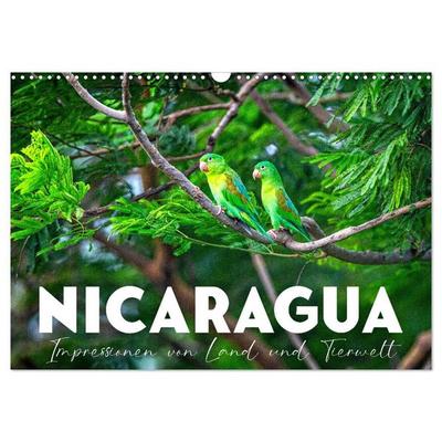 Nicaragua - Impressionen von Land und Tierwelt. (Wandkalender 2027 DIN A3 quer), CALVENDO Monatskalender