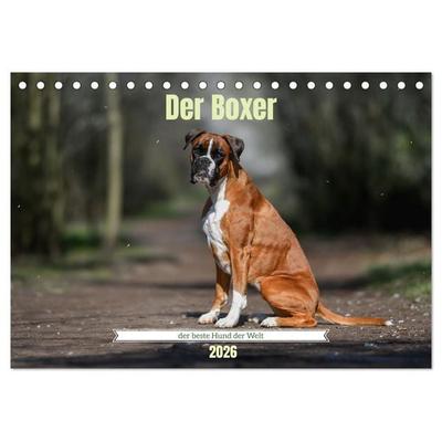 Der Boxer, der beste Hund der Welt (Tischkalender 2026 DIN A5 quer), CALVENDO Monatskalender