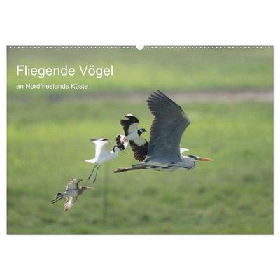 Fliegende Vögel an Nordfrieslands Küste (Wandkalender 2027 DIN A2 quer), CALVENDO Monatskalender