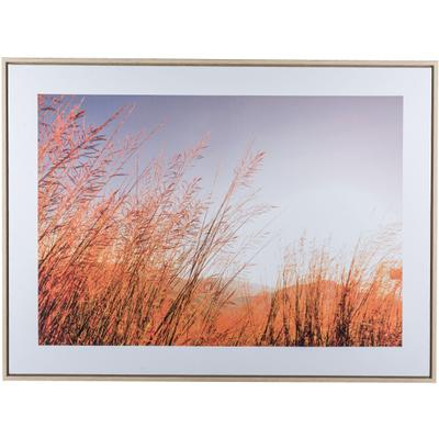 Bild mit Rahmen CREATIV HOME "Wiese", beige (farbe rahmen: hellbraun, farbe bild(er): natur), B:80cm H:60cm T:2,5cm, Canvas, Kunststoff, Bilder, mit besonderer Lichtstimmung