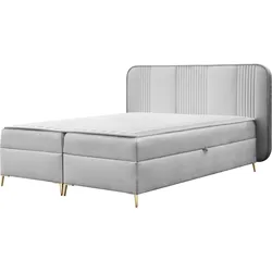 BOXBETT Fandy - H3