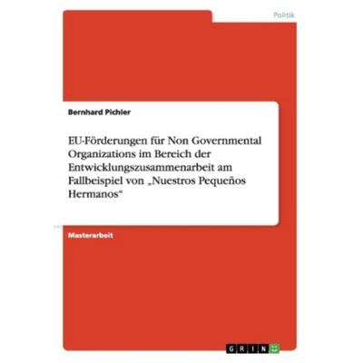 EU-Förderungen für Non Governmental Organizations im Bereich der Entwicklungszusammenarbeit am Fallbeispiel von 'Nuestros Pequeños Hermanos';