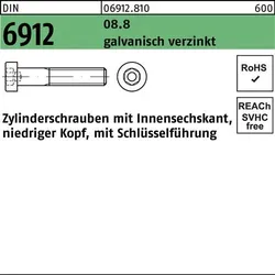 Zylinderschraube DIN 6912 Innen-6kt M5x6 8.8 galv.verz. 500St.
