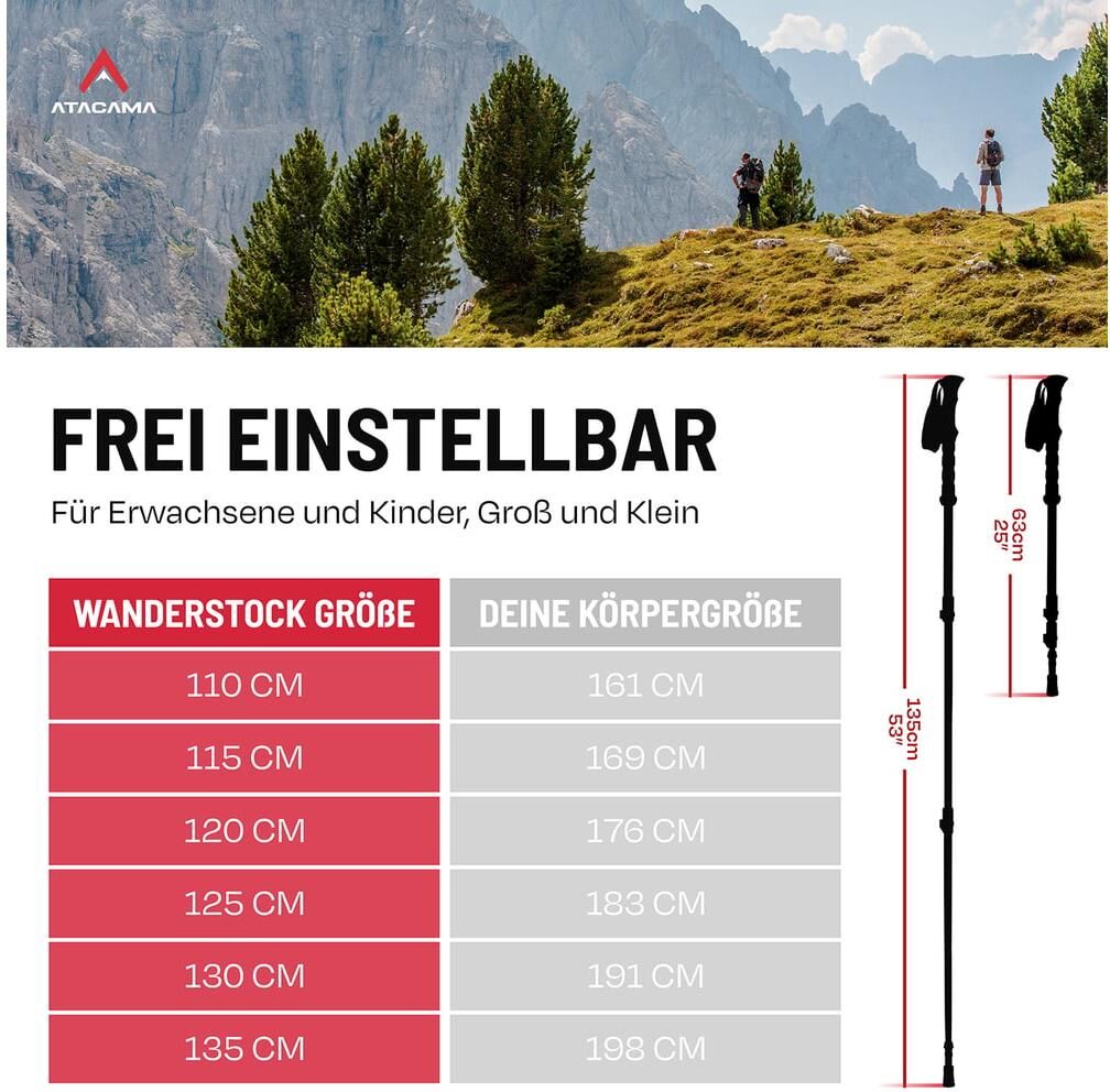 Nordic-Walking-Stöcke "Atacama 110-135 cm", silber (mehrfarbig), Sportstöcke, 135cm, Nordic-Walking-Stöcke, L:135cm mehrfarbig 135cm