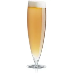 Eva Solo Biergläser groß 2 St.