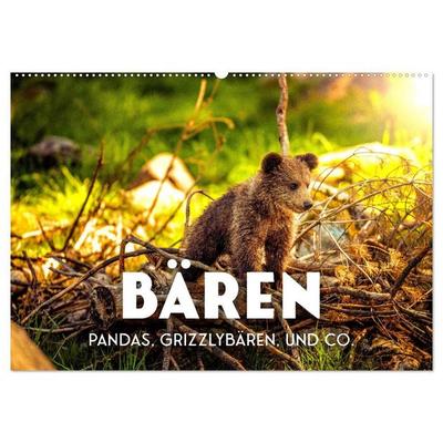 Bären - Pandas, Grizzlybären und Co. (Wandkalender 2027 DIN A2 quer), CALVENDO Monatskalender