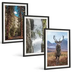 BILDER SET 3er Set - 40x60 cm Schwarzer Rahmen - Straße Wald Berge Hirsch Natur