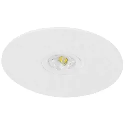 Fischer LED-Sicherheitsleuchte BRE329SC.V2