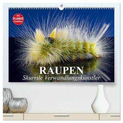 Raupen. Skurrile Verwandlungskünstler (hochwertiger Premium Wandkalender 2027 DIN A2 quer), Kunstdruck in Hochglanz