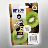 Epson Tinte C13T02H140 photo black 202XL