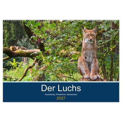 Der Luchs - Hochbeinig, Pinselohren, Backenbart (Wandkalender 2027 DIN A2 quer), CALVENDO Monatskalender