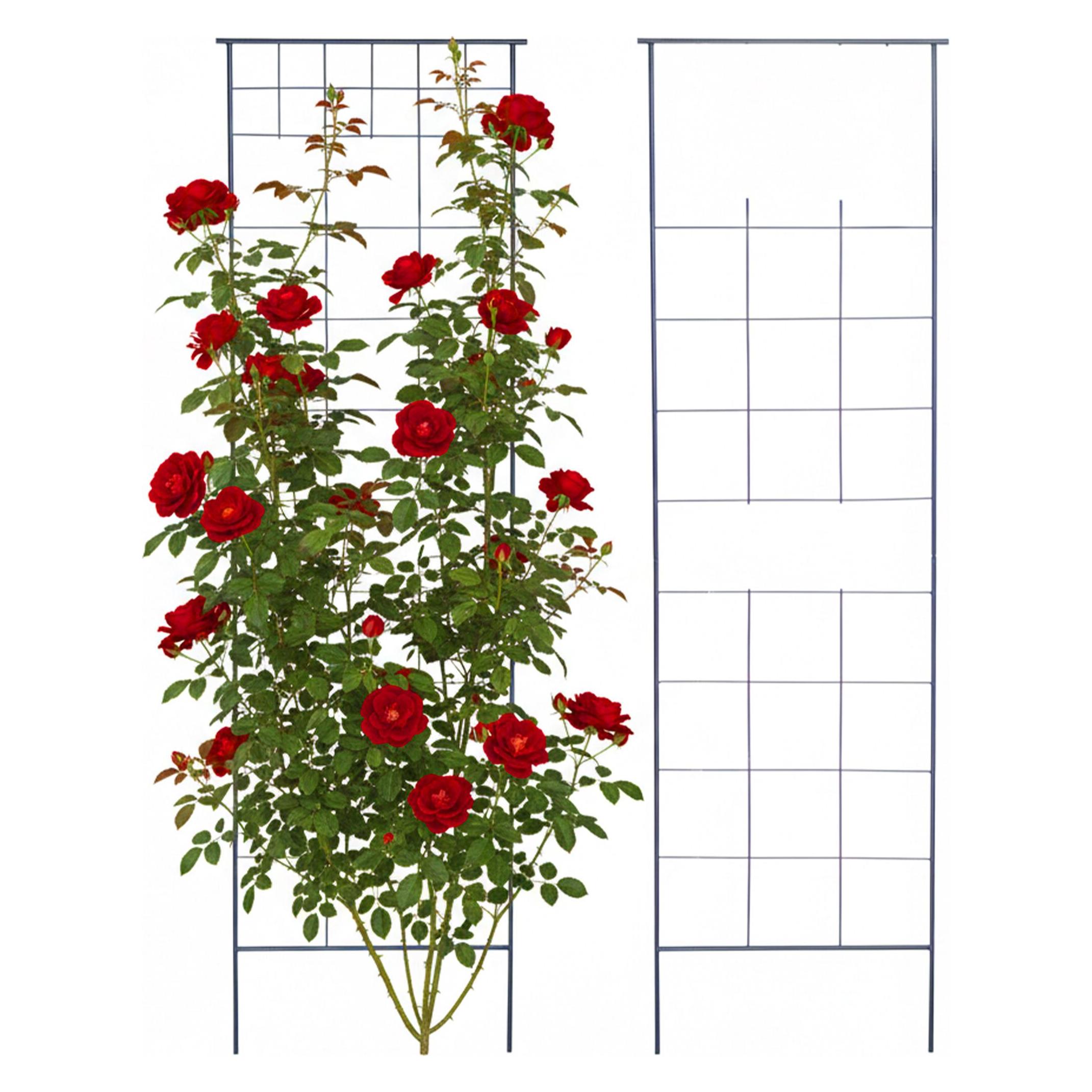 Relaxdays 2x Rankgitter (1 cm, 58 cm) (4052025532390)