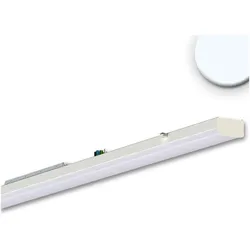 Isoled, Deckenleuchte, Systembeleuchtung (10600 lm)