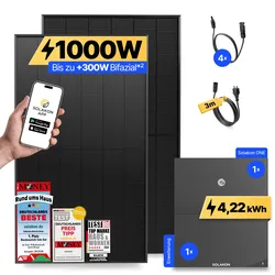 onBasic: 1000 Watt Balkonkraftwerk - ohne Halterung / 4.22 kWh / 3m