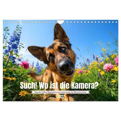 Such! Wo ist die Kamera? (Wandkalender 2027 DIN A4 quer), CALVENDO Monatskalender